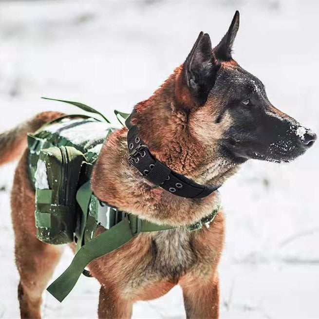 Collier en Nylon Tactique pour Chien de Taille Moyenne à Grande