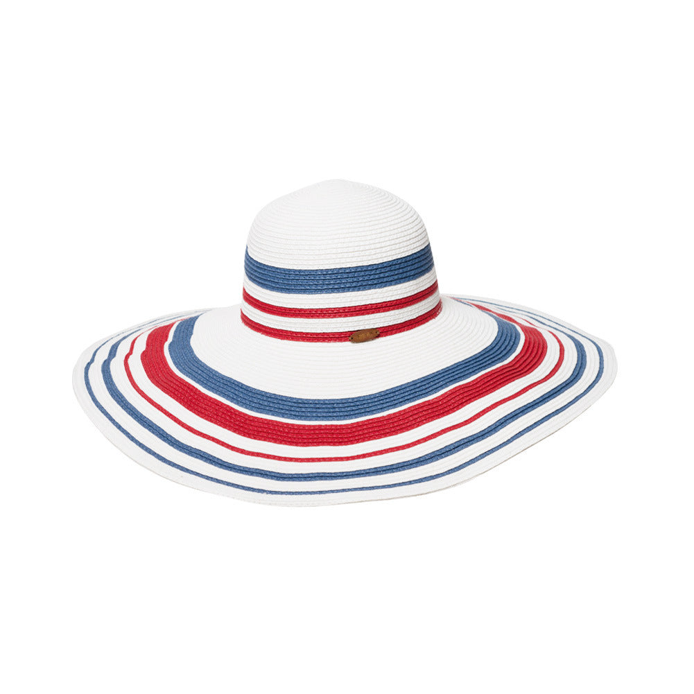Women's Spring And Summer Big Brim Straw Hat For Leisure Travel