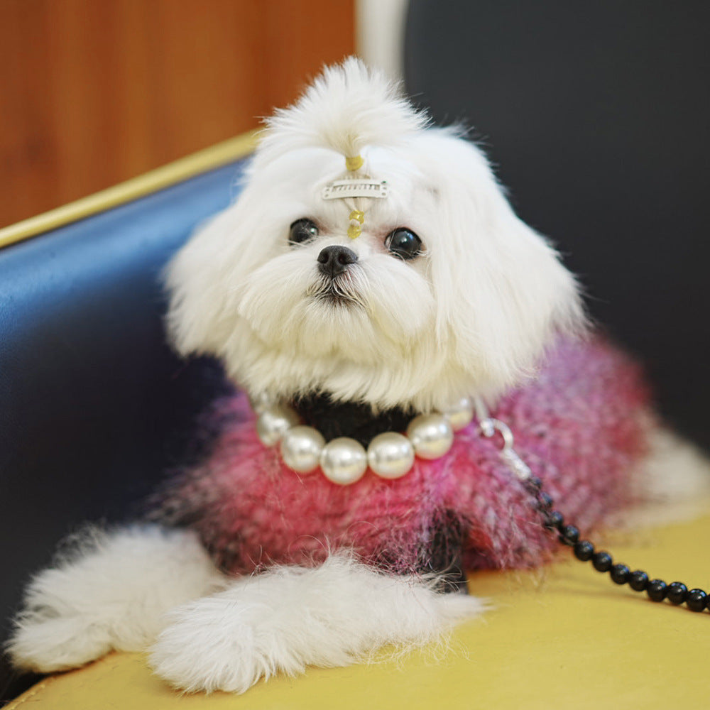Pet Collar Dog Leash Necklace Cat
