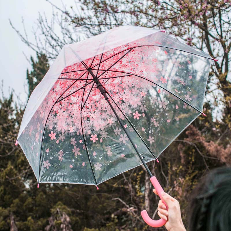 Long Handle Automatic Transparent Umbrella Female Creative Small Fresh