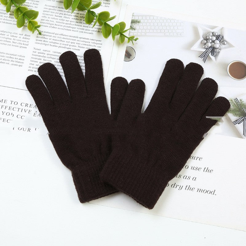 Winter Warm Plush Thickened Touch Screen Gloves