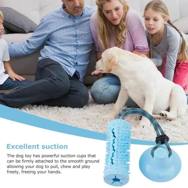 Jouets à mâcher pour chiens, balles pour mâcheurs agressifs, jouet interactif pour chiens, distributeur de friandises, jouet à tirer à ventouse pour le nettoyage des dents des chiens