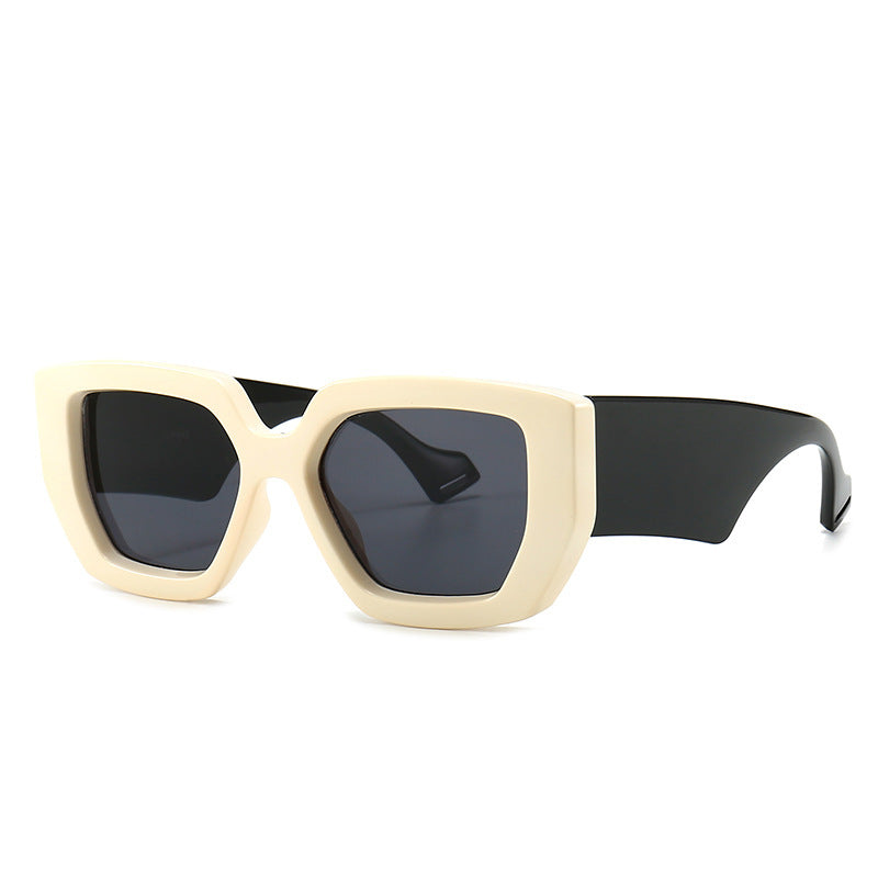 Lunettes de soleil rétro modernes