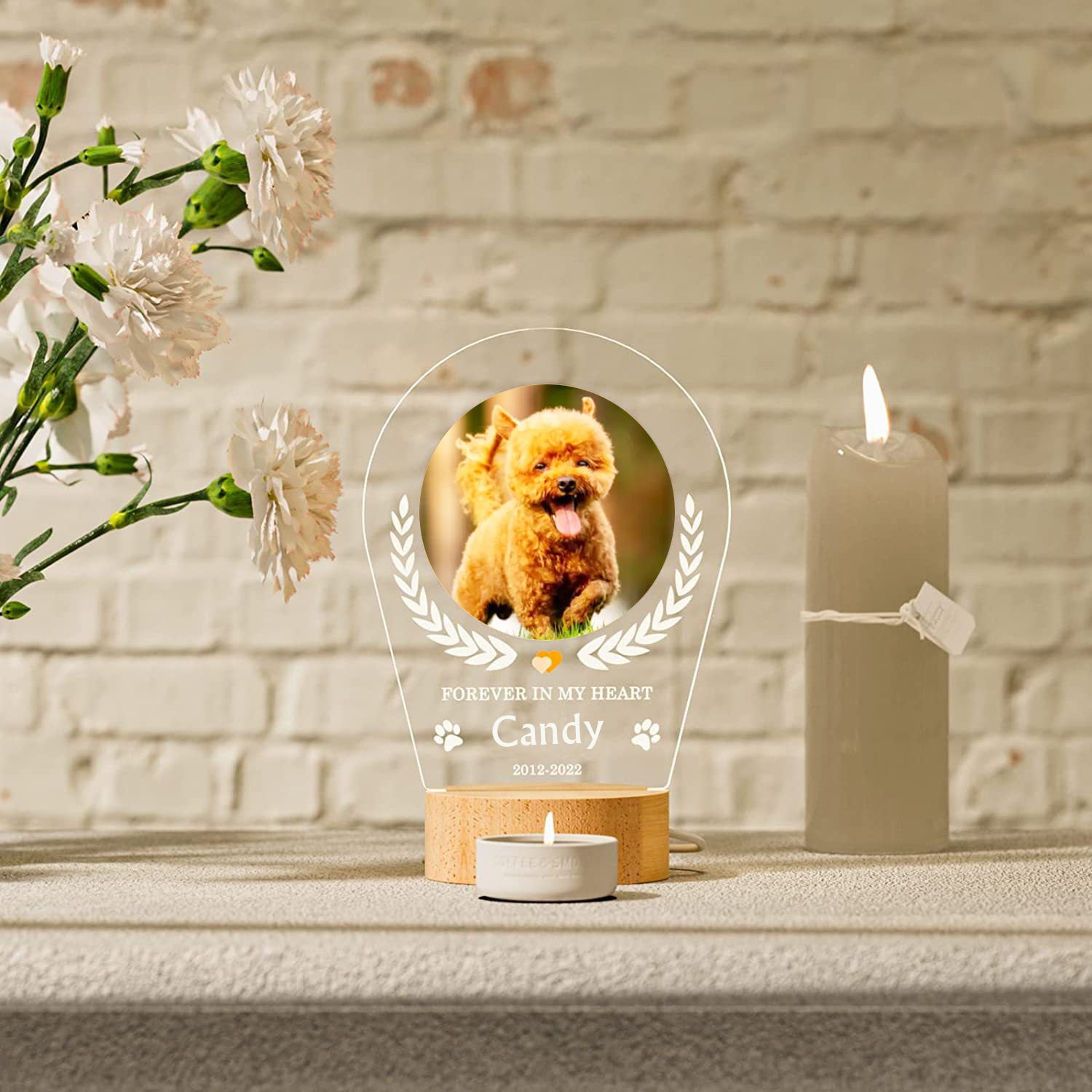 Dog Commemorative Photo Frame Night Light