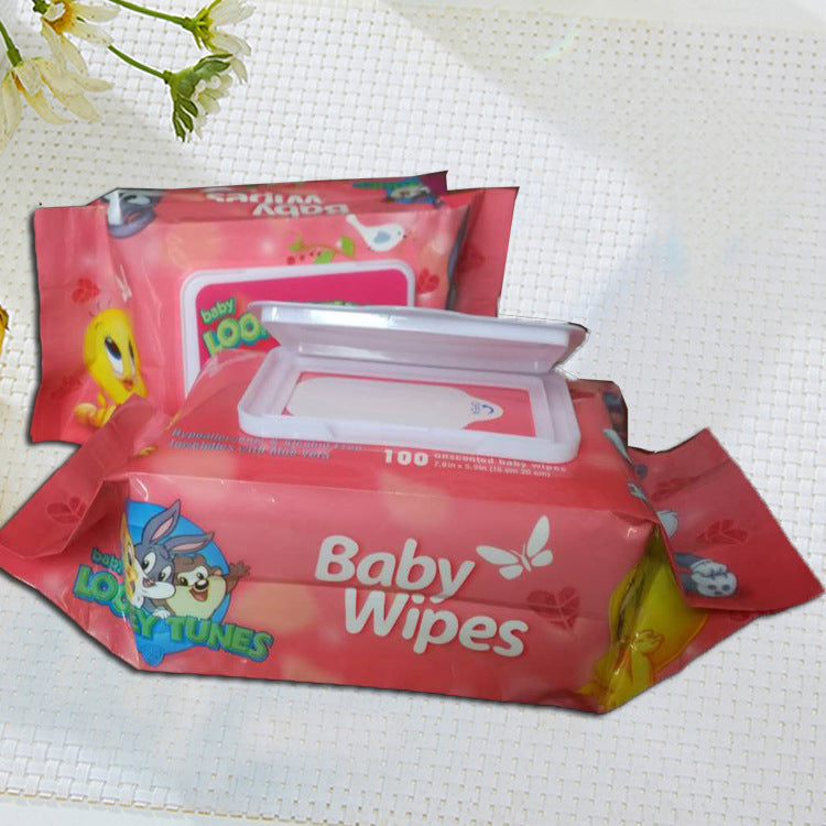 Lingettes nettoyantes et lingettes de soin ménagères pour bébés et enfants Dishs