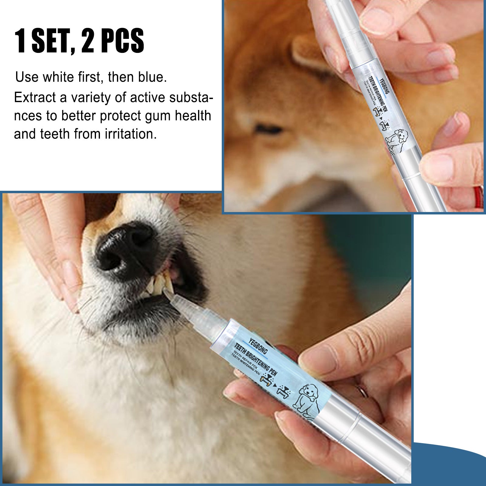 Stylo brosse à dents pour animaux de compagnie : nettoyage du tartre dentaire des chiens et chats