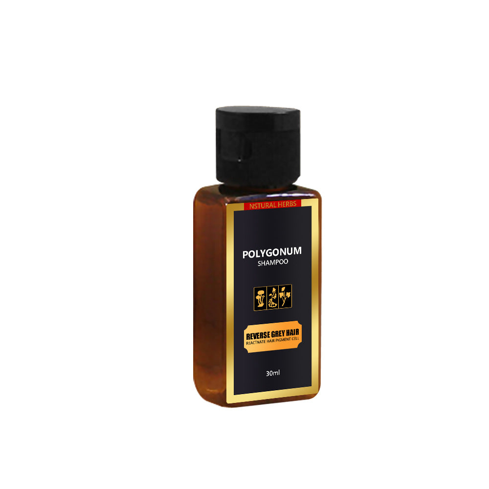Shampooing Polygonum multiflorum pour cheveux noirs