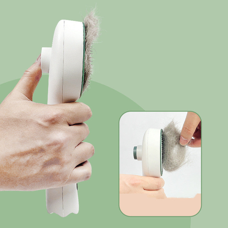 Nettoyage du peigne pour animaux afin d'éliminer les poils morts
