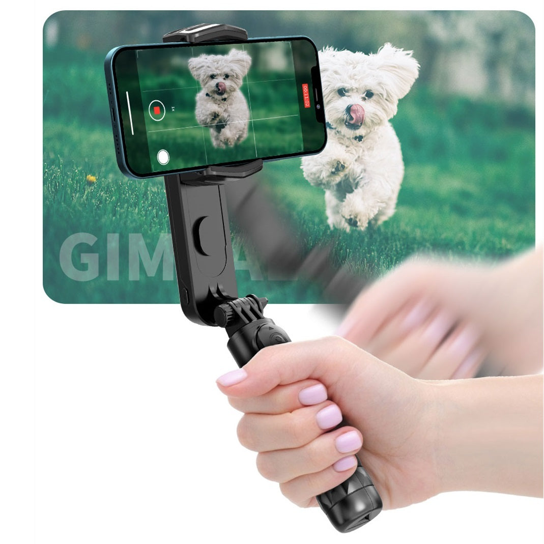 Stabilisateur de caméra portable anti-tremblement PTZ, cadre de suivi en direct à axe unique