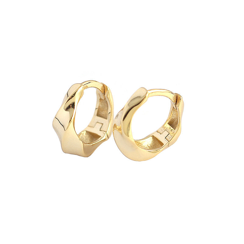 Minimalist Geometric Metal Wind Twisted Glossy Earrings Earrings