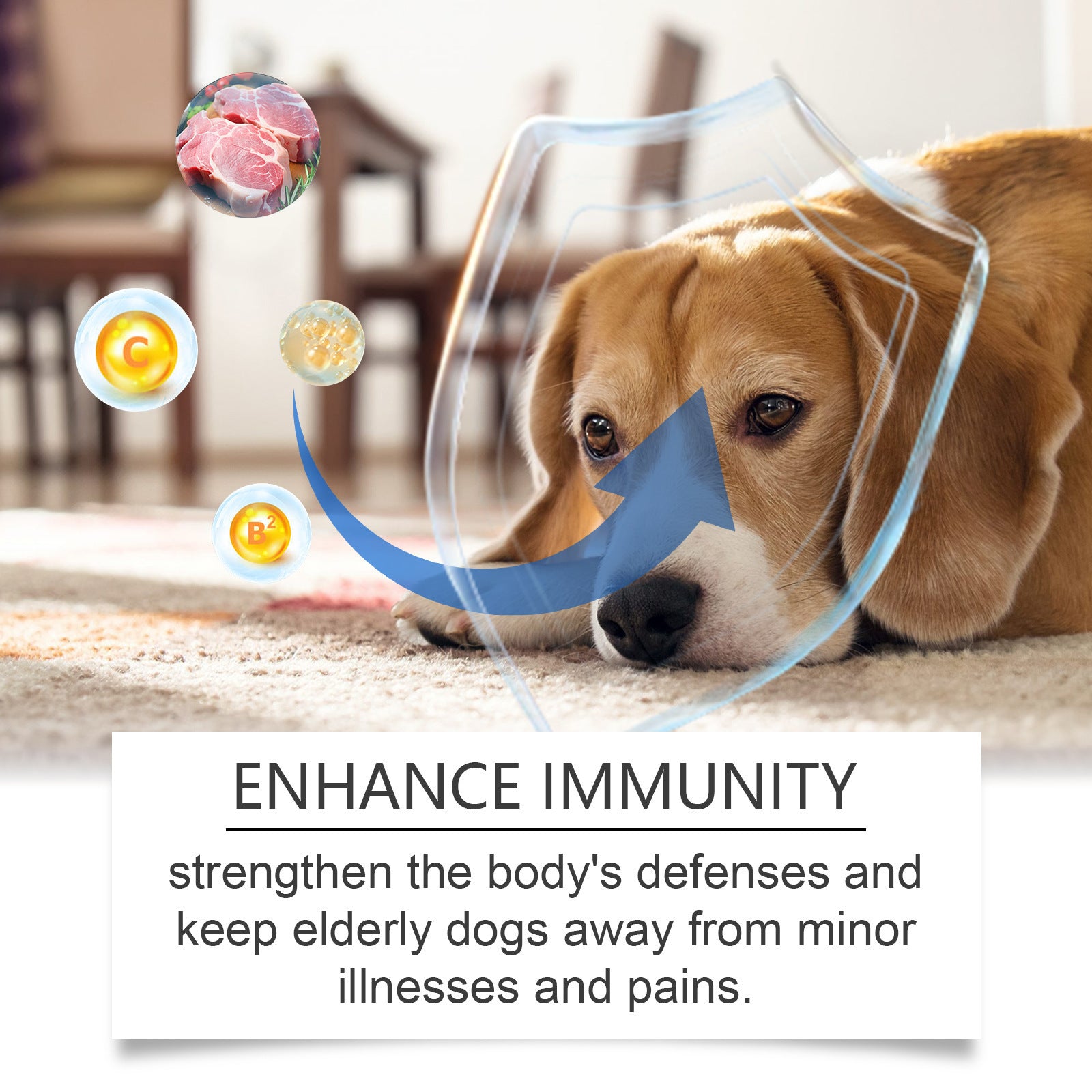 Soin Chien Âgé Comprimés de Calcium Supplément Nutrition Animal de Compagnie Nutrition