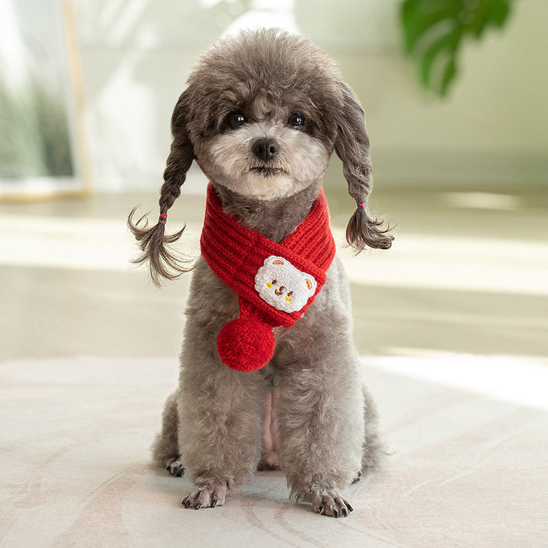 Écharpe d'hiver en laine personnalisée pour chat, accessoire de mode