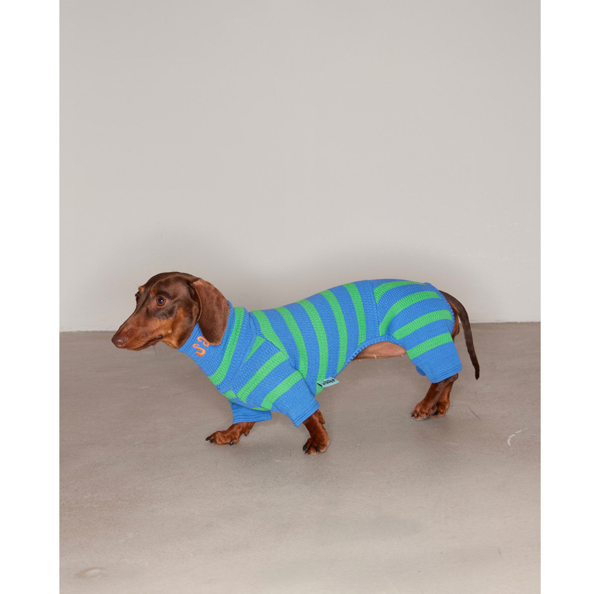 Vêtements tricotés extensibles à quatre pattes pour animaux de compagnie de couleur contrastée