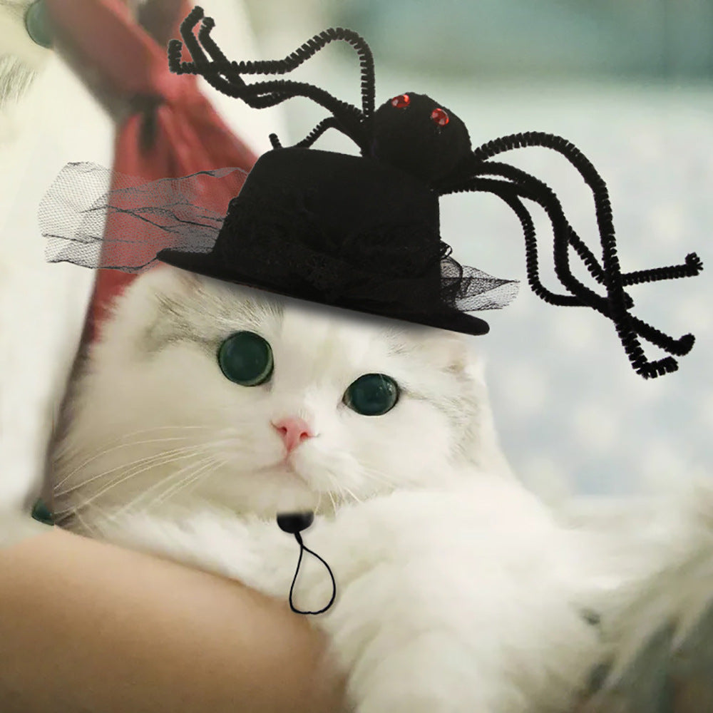 Chapeau de compagnie pour cheveux bouclés, chat, déguisement amusant, produits pour animaux de compagnie