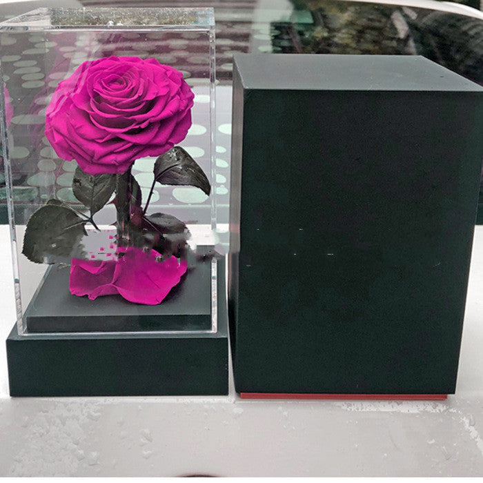 La Petite Princesse Tanabata Saint-Valentin Fleur Immortelle