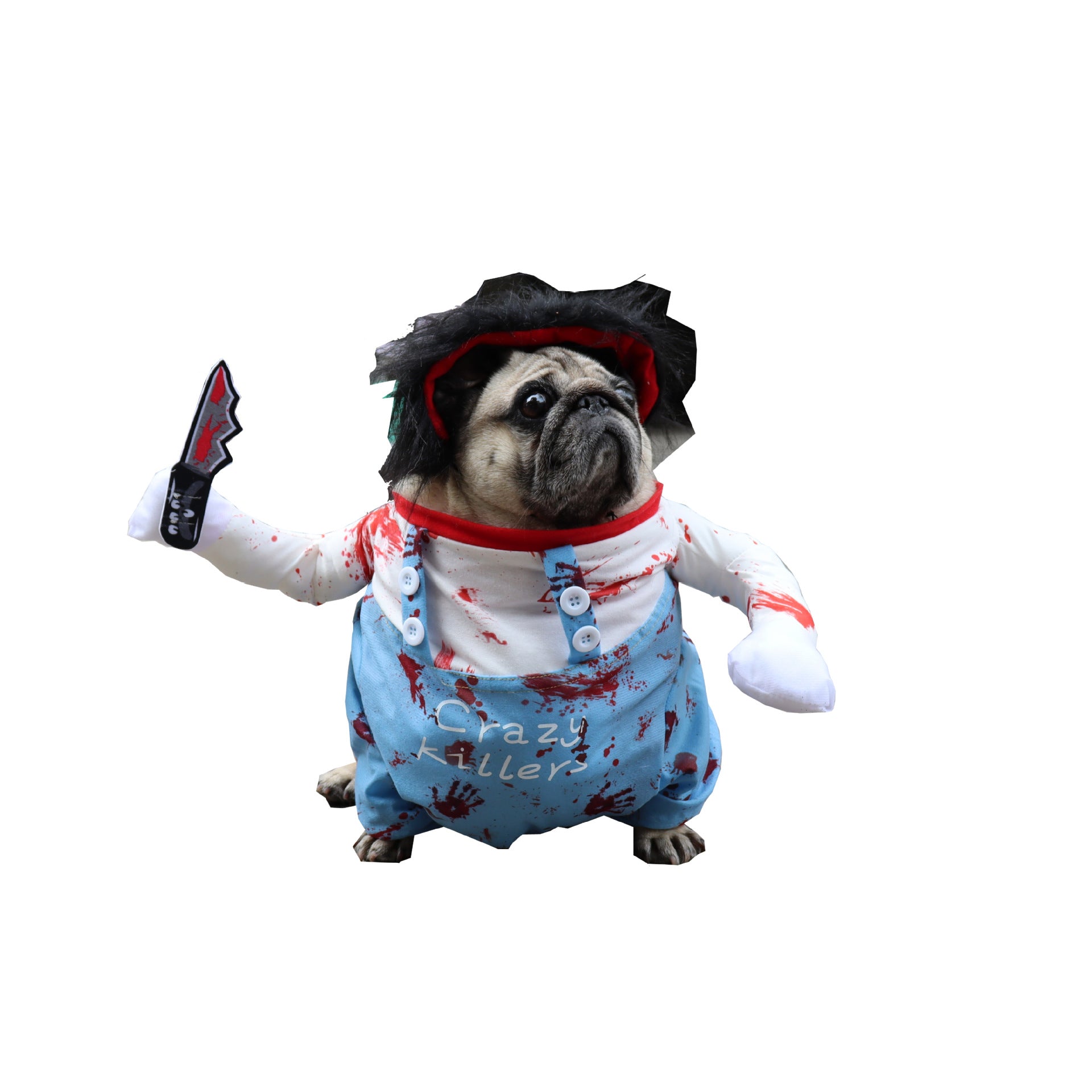 Vêtements d'Halloween pour animaux de compagnie, drôles, costume pour chien, vêtements pour chat