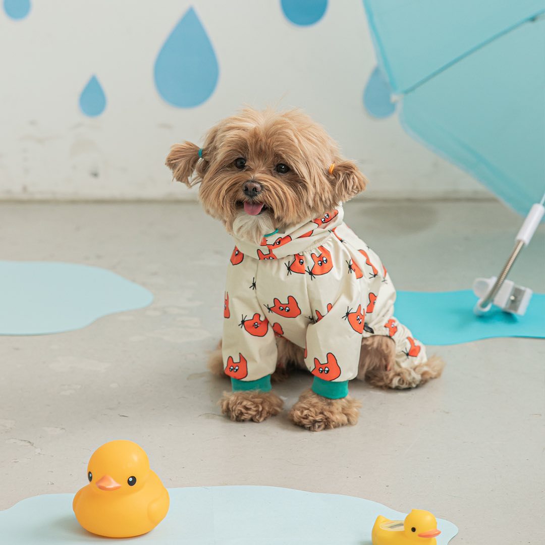 Imperméable pour chien "Fashion Pet Dog" toutes saisons