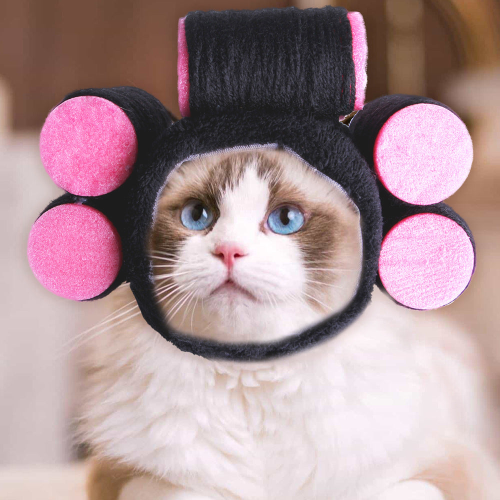 Chapeau de compagnie pour cheveux bouclés, chat, déguisement amusant, produits pour animaux de compagnie