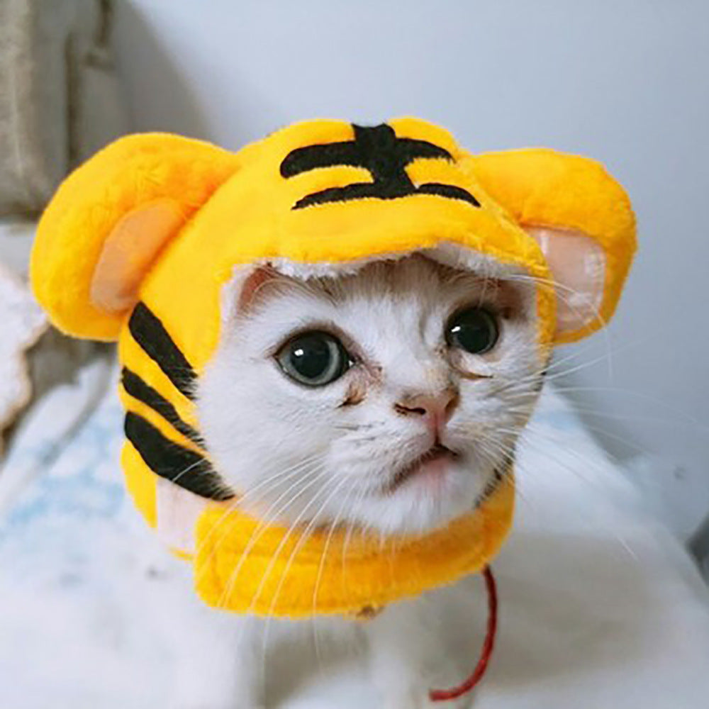 Chapeau de compagnie pour cheveux bouclés, chat, déguisement amusant, produits pour animaux de compagnie