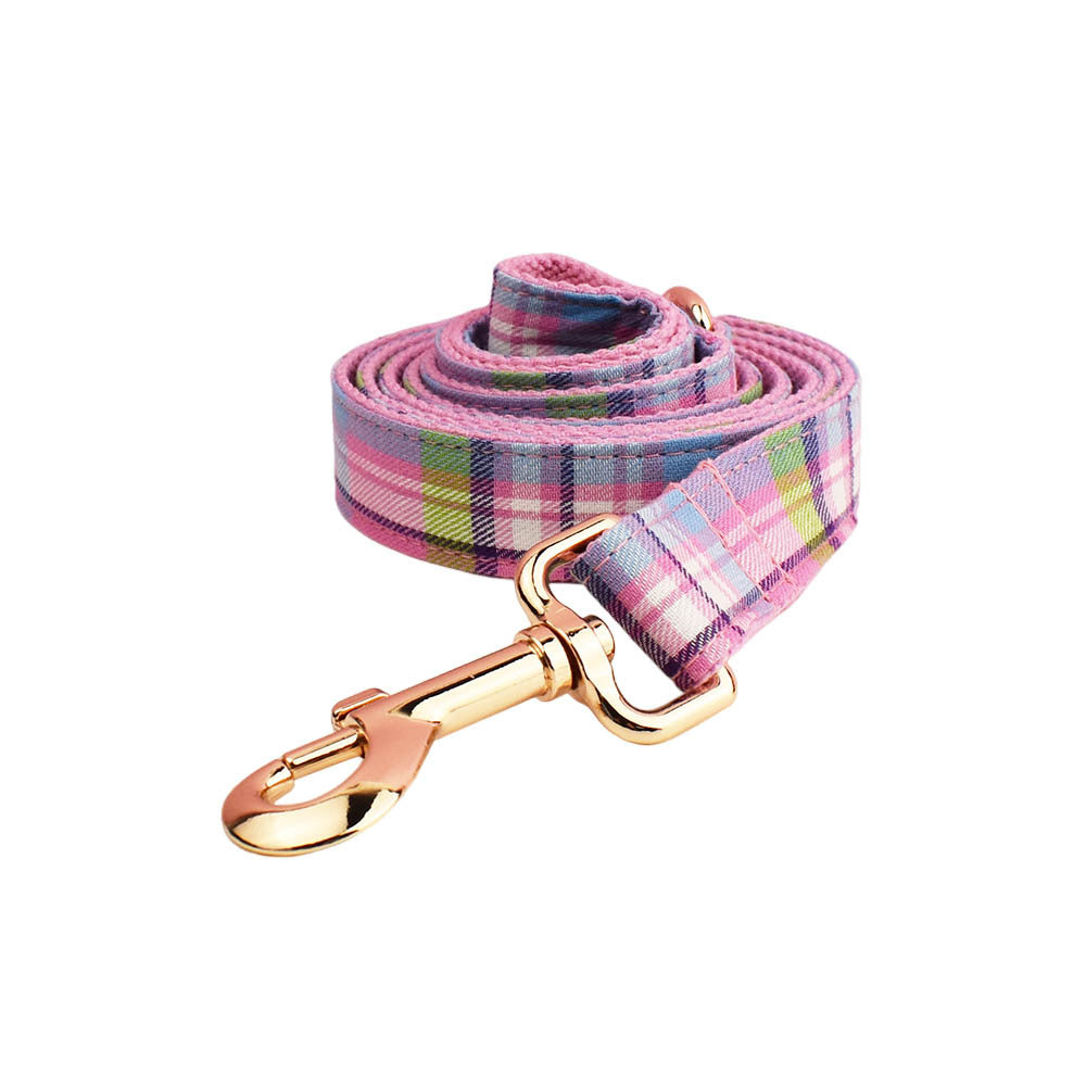 Qicaigei Collier pour chien Laisse de traction