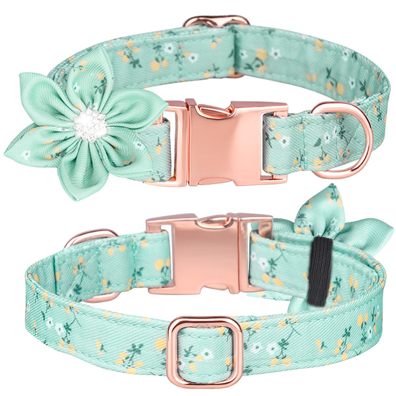 Custom Pet Collar And Leash Set