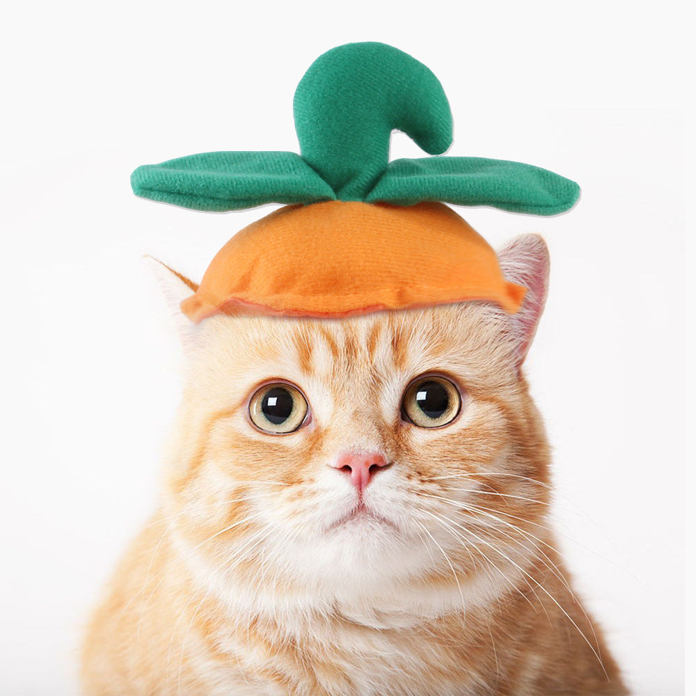 Chapeau de compagnie pour cheveux bouclés, chat, déguisement amusant, produits pour animaux de compagnie