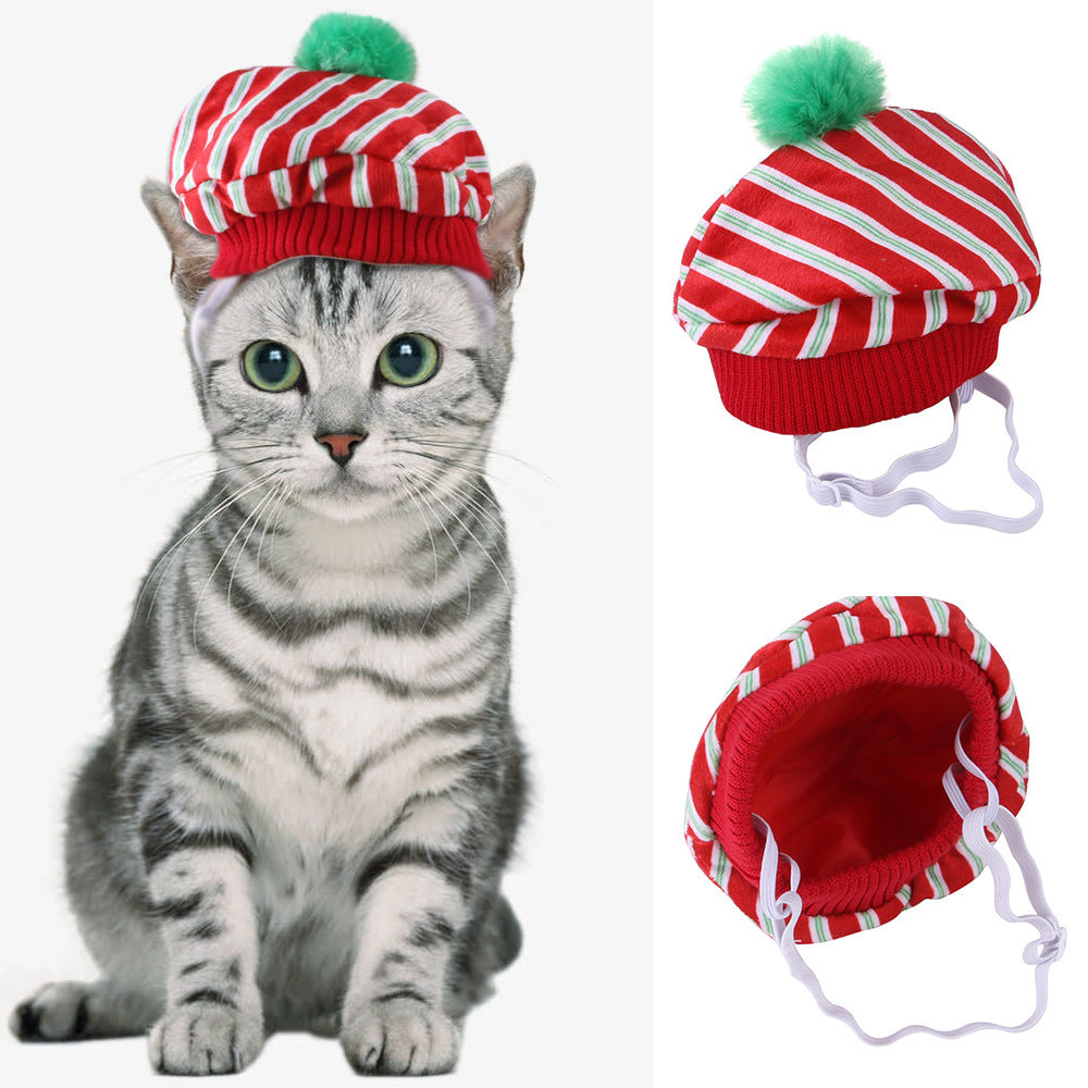 Chapeau de compagnie pour cheveux bouclés, chat, déguisement amusant, produits pour animaux de compagnie