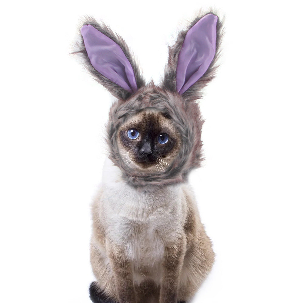 Chapeau de compagnie pour cheveux bouclés, chat, déguisement amusant, produits pour animaux de compagnie