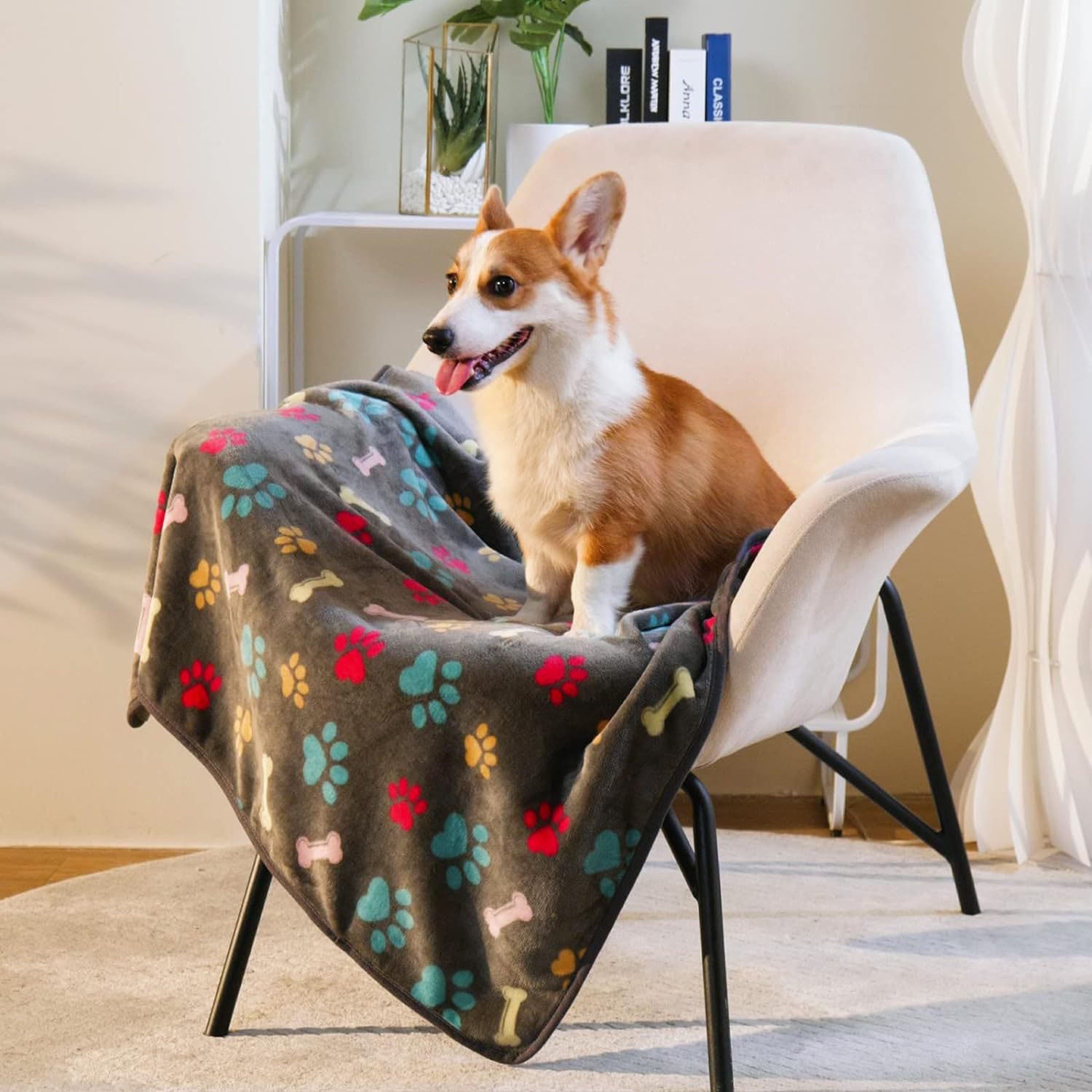 Couverture pour animaux de compagnie Couverture chaude pour chien et chat Motifs confettis, os et pattes de chien