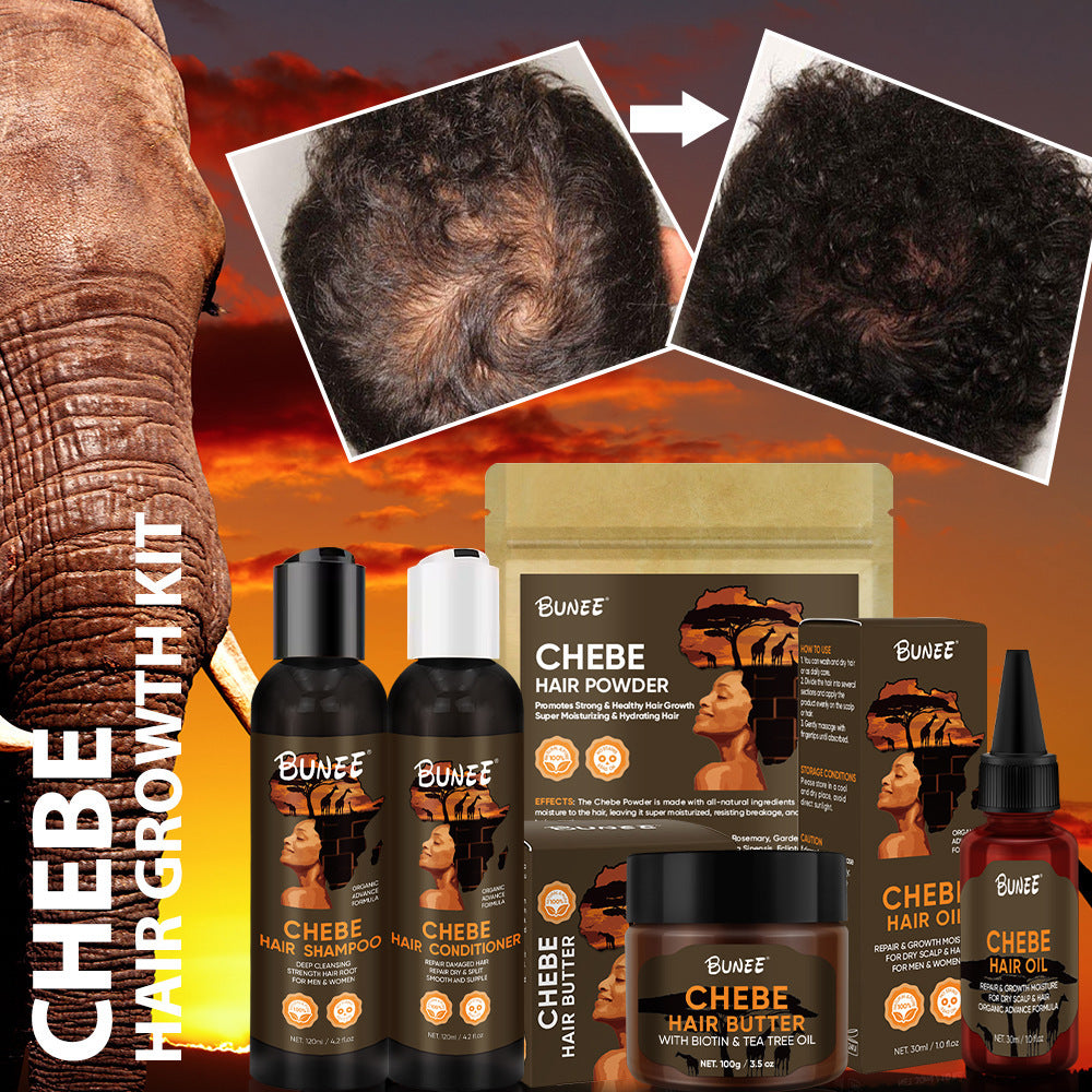 Rosemary Africa Cheveux Denses Cheveux Forts Et Résistants Huile de Soie Kaki Sec Améliorer le Costume d'Huile de CHEBE