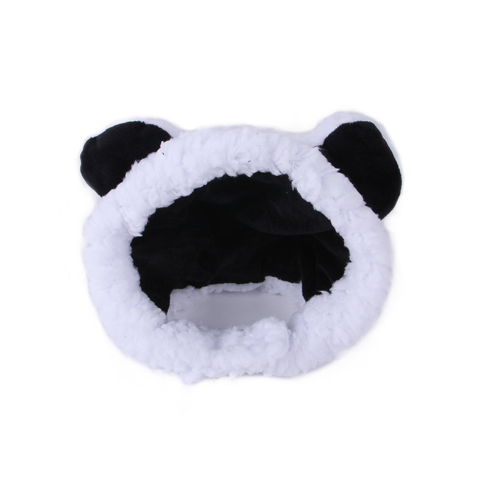 Chapeau de compagnie pour cheveux bouclés, chat, déguisement amusant, produits pour animaux de compagnie