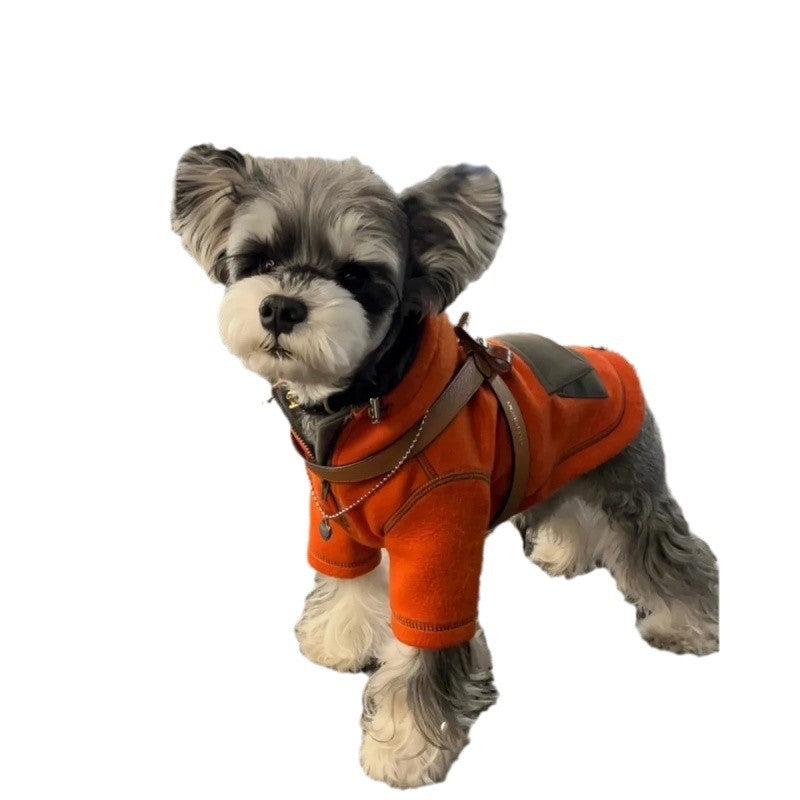 Vêtements d'automne pour petits chiens, pull à capuche à deux pattes