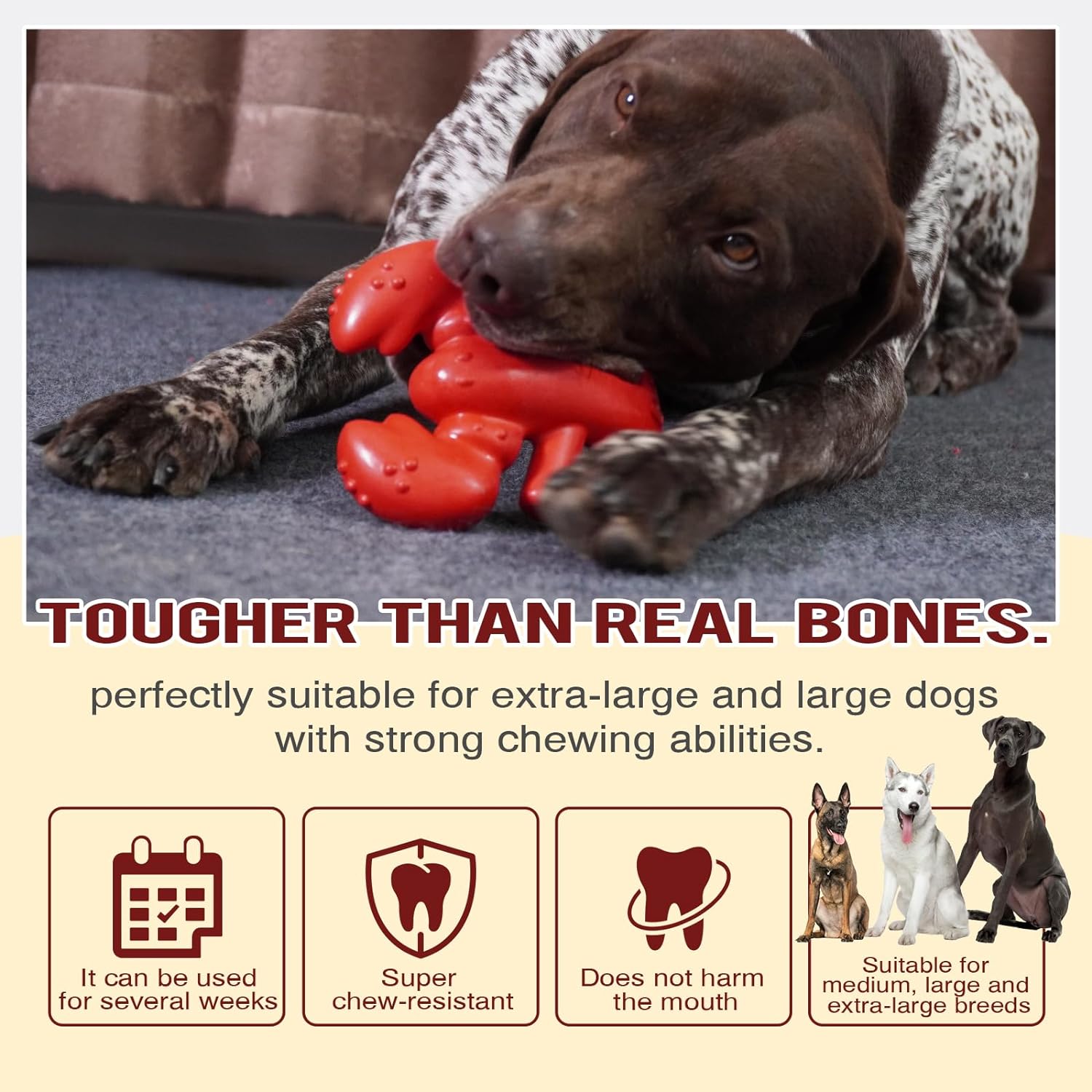 Dog Chew Toy For Aggressive Chewers Tough And Long Lasting Toy For Large Medium Dogs Ideal Chew Toy Great For Teeth Cleaning And Playtime