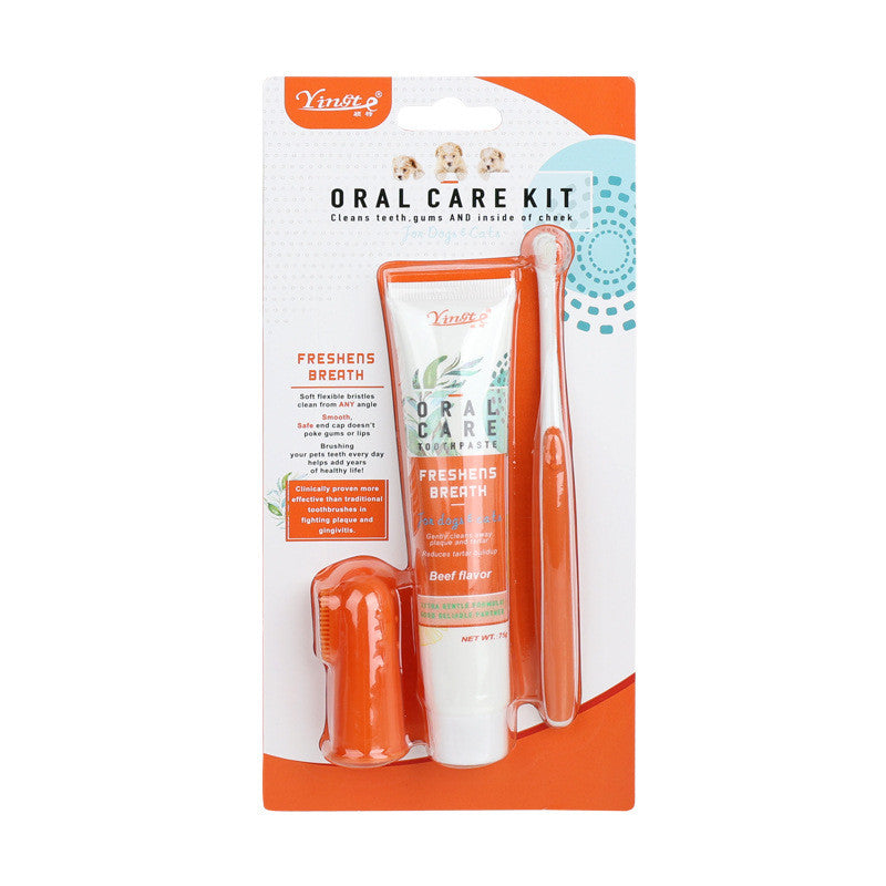 Ensemble brosse à dents de nettoyage pour chien de compagnie