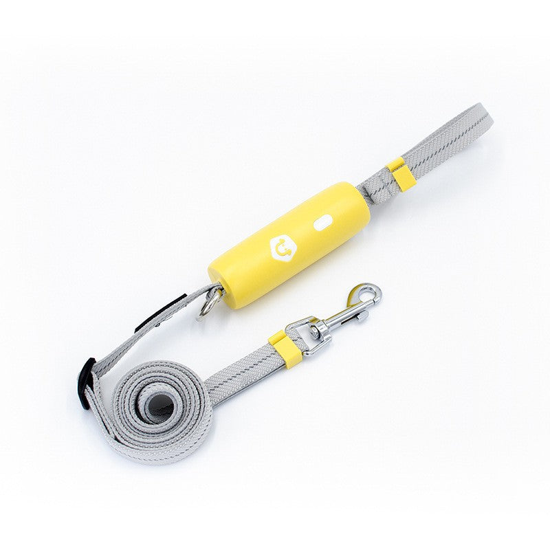 Laisse extensible pour petit et moyen chien, à tenir à la main