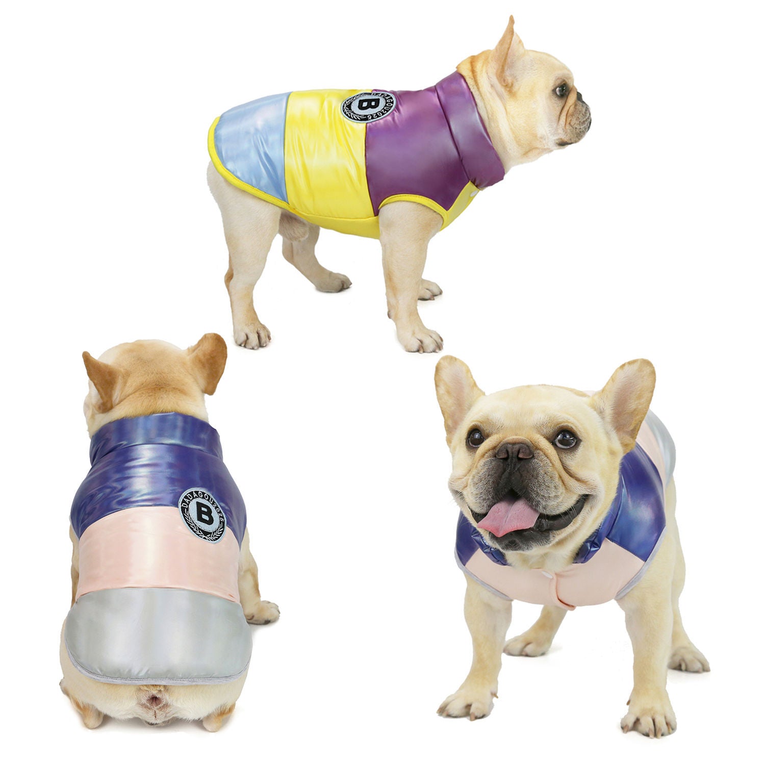 Costume de gilet en coton pour taureau de compagnie arc-en-ciel