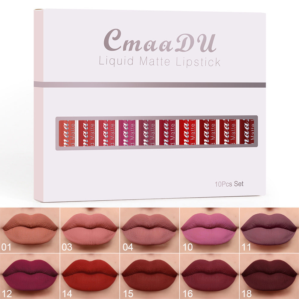10 PCs Matte Long Lasting Waterproof Lip Gloss