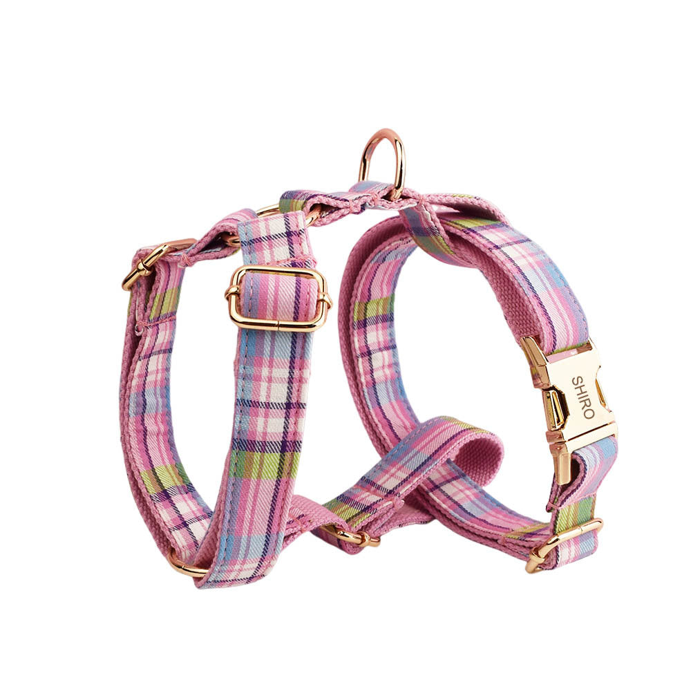 Qicaigei Collier pour chien Laisse de traction