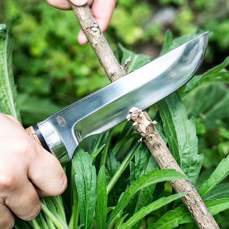 Outdoor Survival Self-defense Cold Weapon Carry High Hardness Tactical Knife