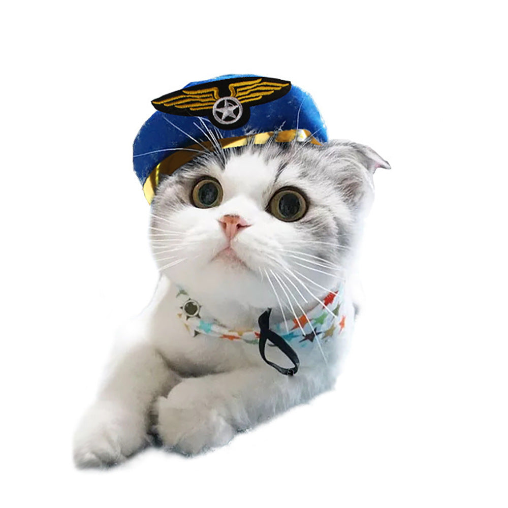Chapeau de compagnie pour cheveux bouclés, chat, déguisement amusant, produits pour animaux de compagnie