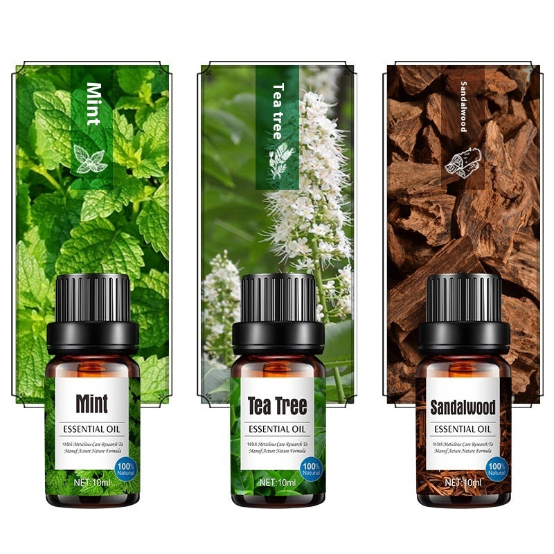 Diffuseur d'arômes spécial plantes Huile essentielle de lavande hydrosoluble à l'orange douce 10ml