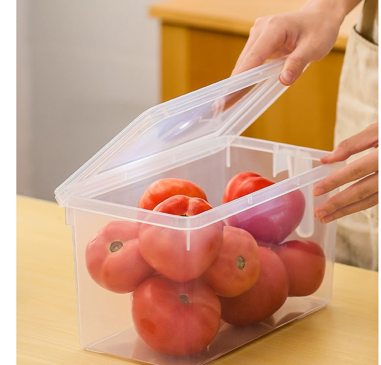 Boîte de Rangement Multicéréales Réfrigérateur Portable avec Poignée