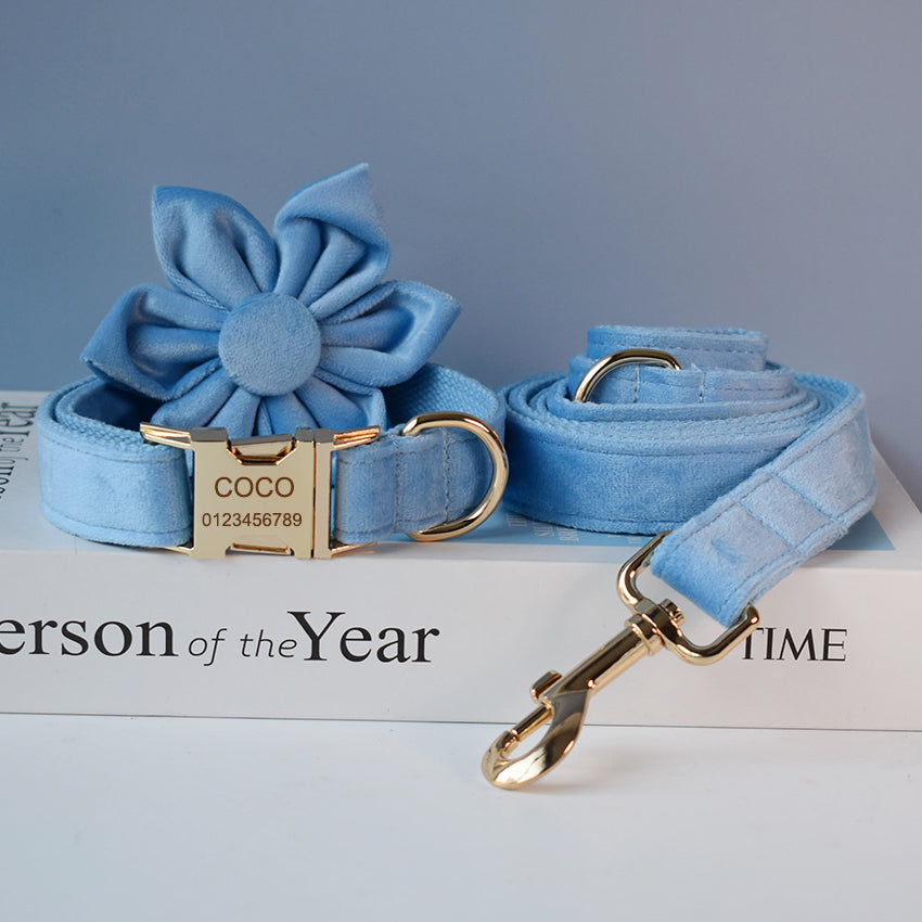 Collier pour chien en velours bleu Laisse pour chien Collier pour animaux de compagnie