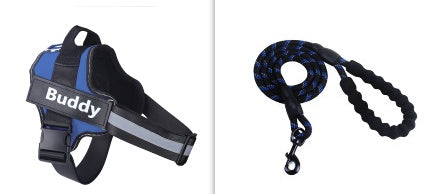 Ensemble Harnais et Laisse pour Animaux de Compagnie, Design Simple et Tendance