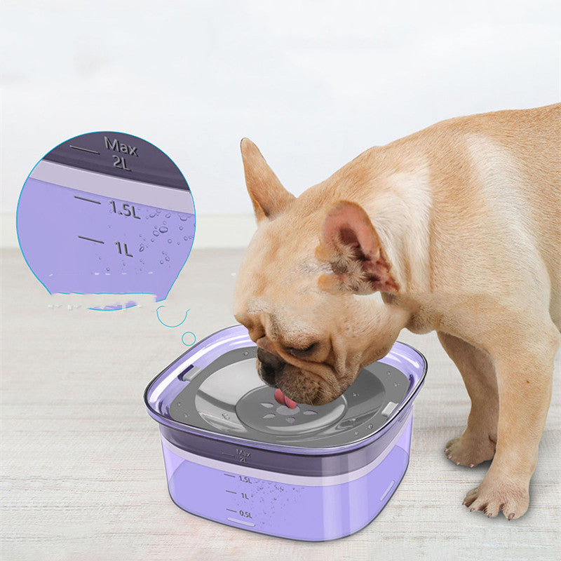 Gamelle flottante pour chien, anti-éclaboussures et anti-goutte