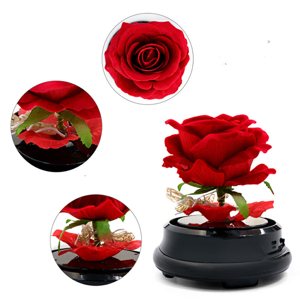 Fête des Mères Cadeau Fleurs Séchées Rose Éternelle Décoration Maison