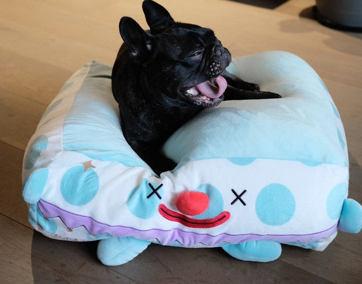 L'animal de compagnie clown dort dans un lit douillet pour animaux.