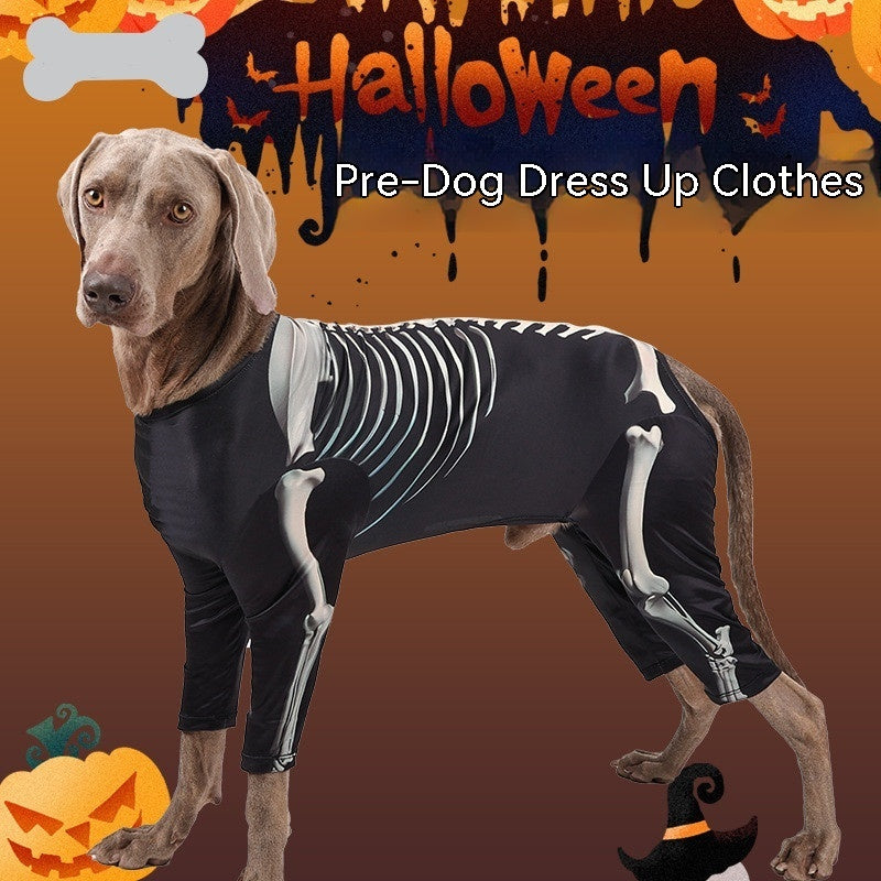 Vêtements tendance pour chiens – Halloween