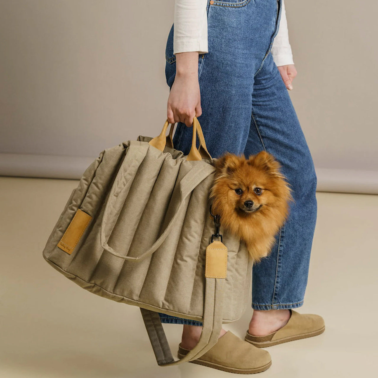 Sac de transport pour chien et chat, léger, imperméable, portable, accessoires pour animaux de compagnie, sac pour chien à la mode