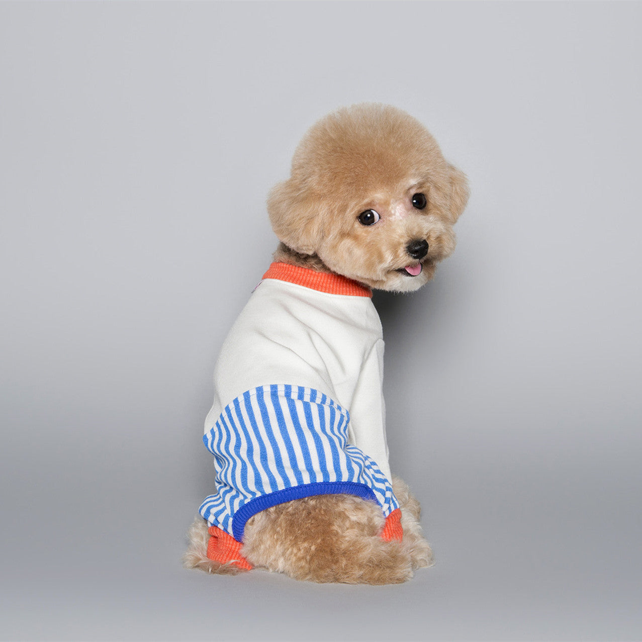 Combinaison Color Block pour Chien de Compagnie